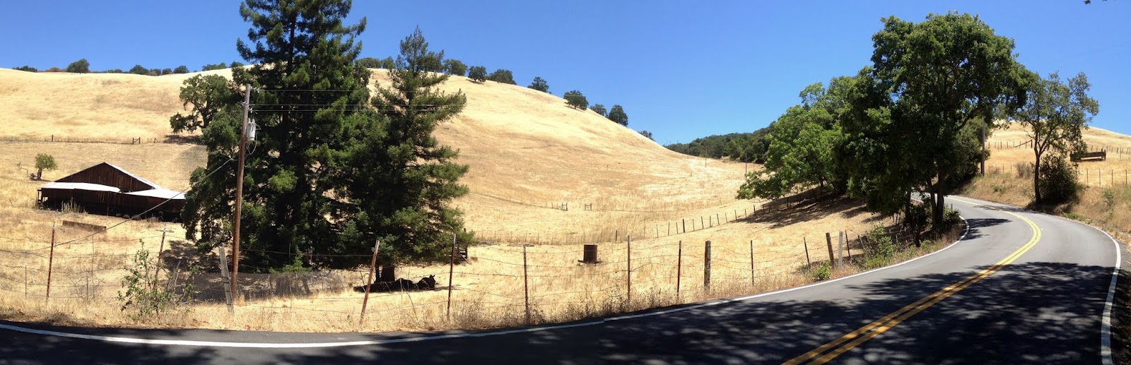 Ziasus' Ride Reports Hamilton, fully loaded