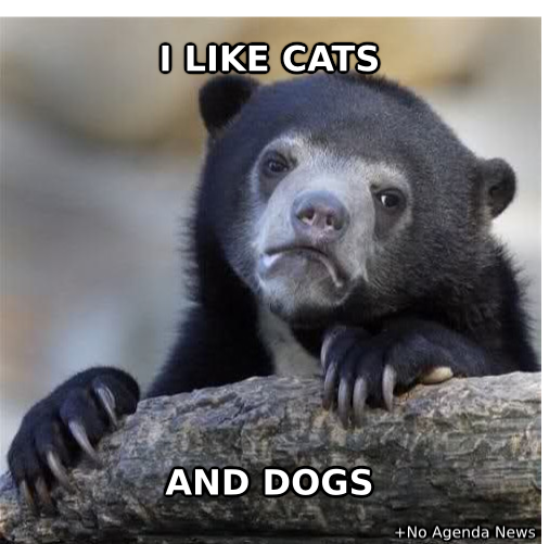 funny pictures and memes