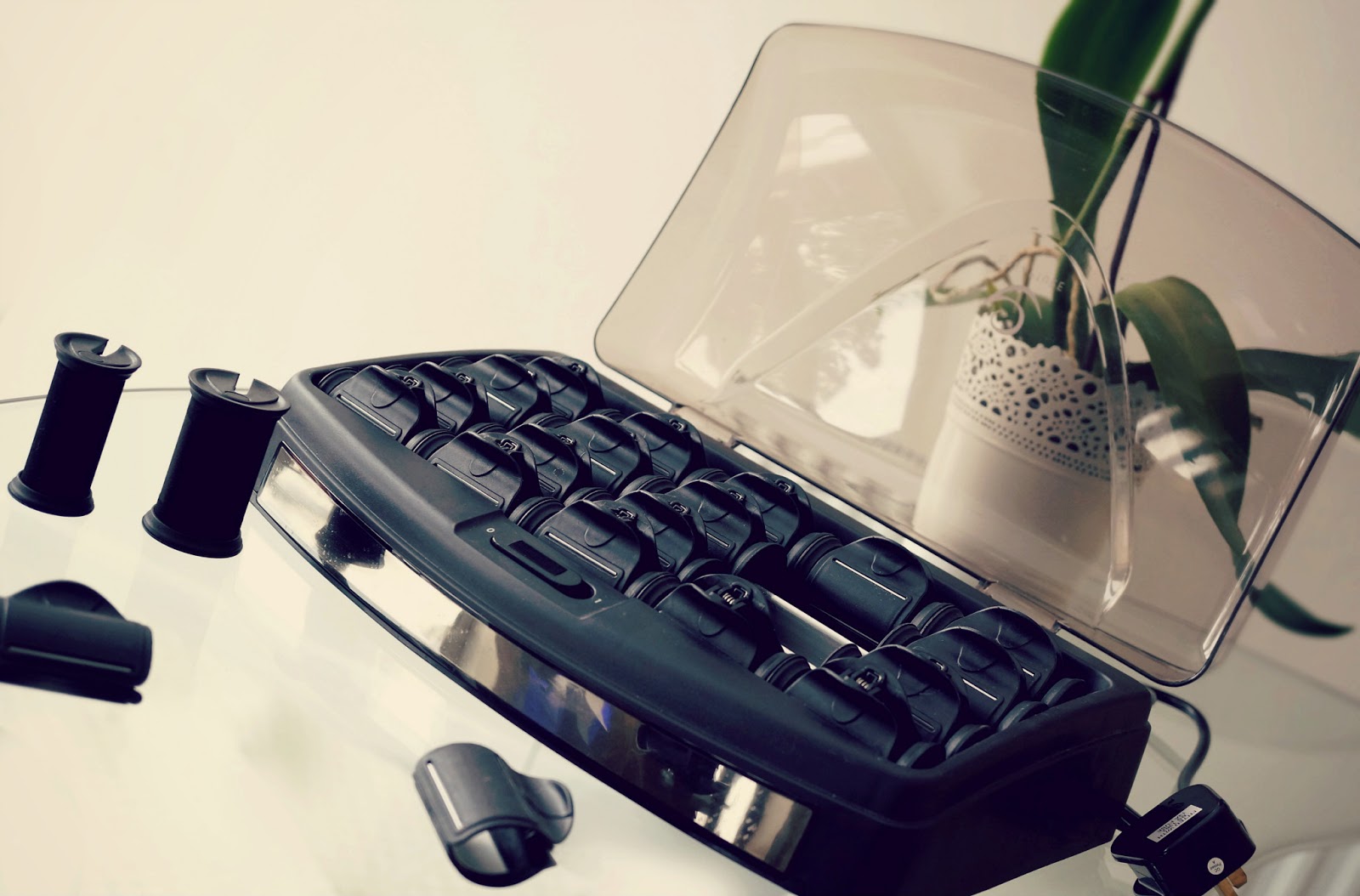 Birds Words Beauty, Fashion, Lifestyle Enrapture Extremity Heated