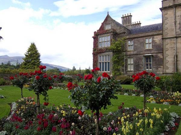 Killarney National Park - the oldest Ireland castle gardens