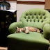 Nh Hotel Living Room Nh Hotel Living Room