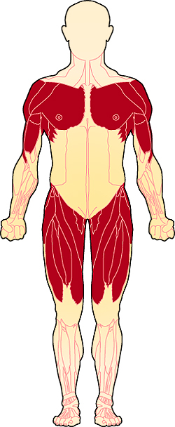 Viagra Muscular Dystrophy