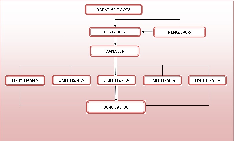 Ekonomi Akuntansi: SELUK BELUK KOPERASI