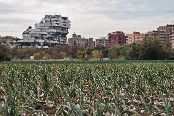 URBAN FARMING