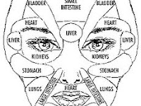 Face Acne Diagram Face Acne Diagram