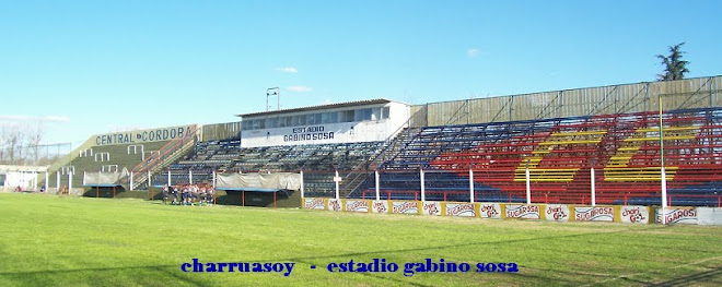 estadio gabino sosa