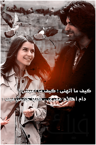 ������ ���� ������ �� ���� ������