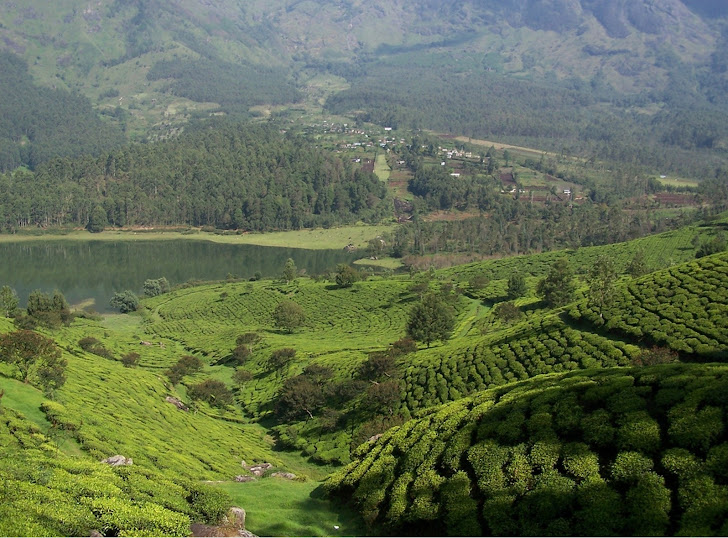 Kerala