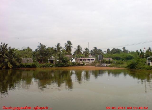 Thiruneelakudi Temple Pond