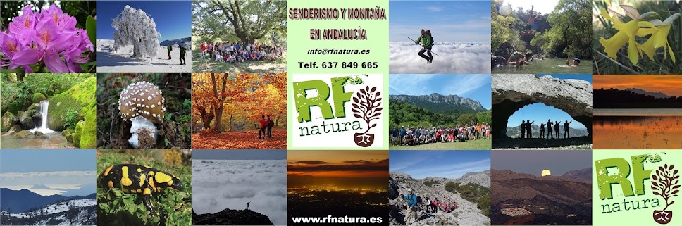 RF NATURA