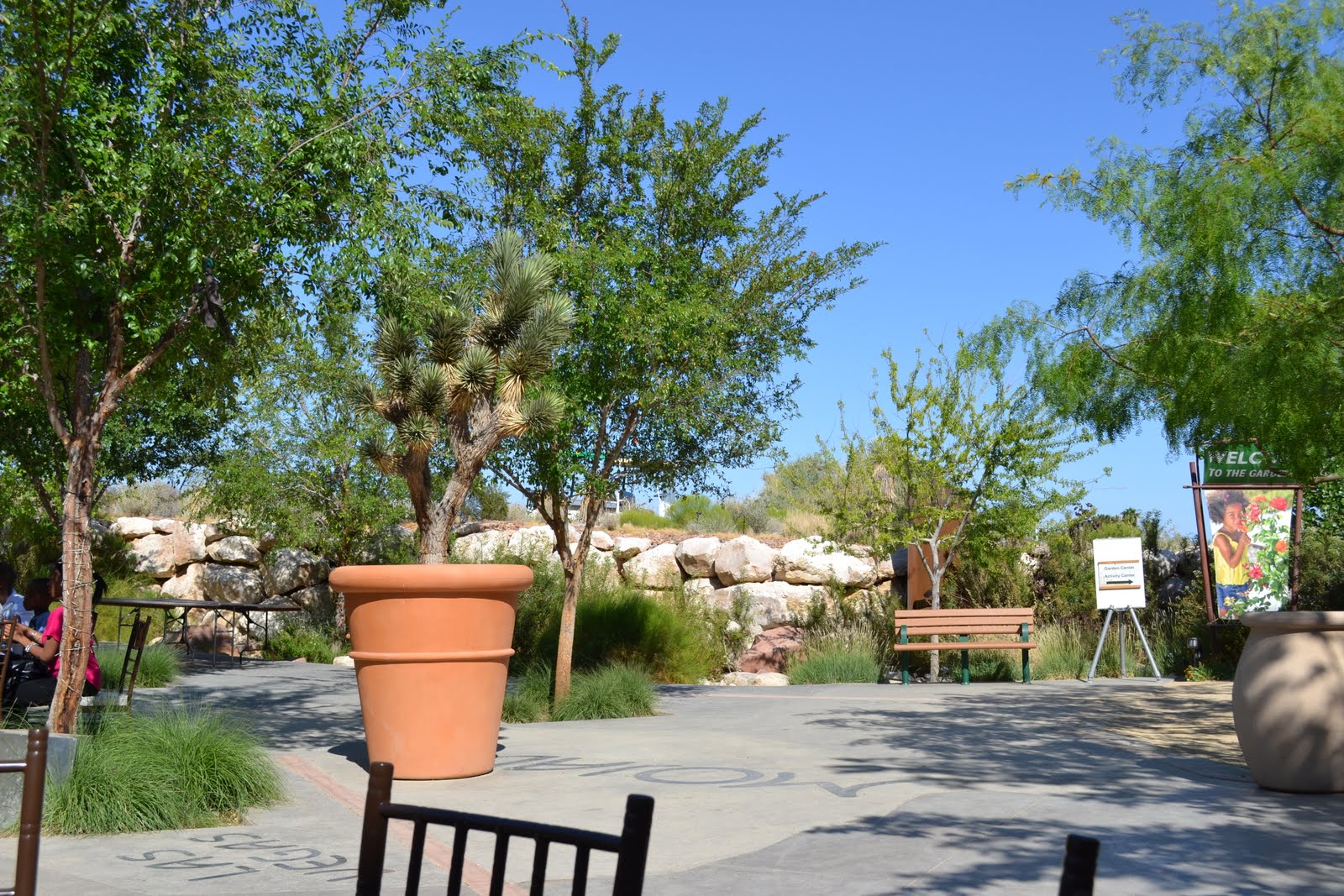 Lovely Las Vegas Springs Preserve