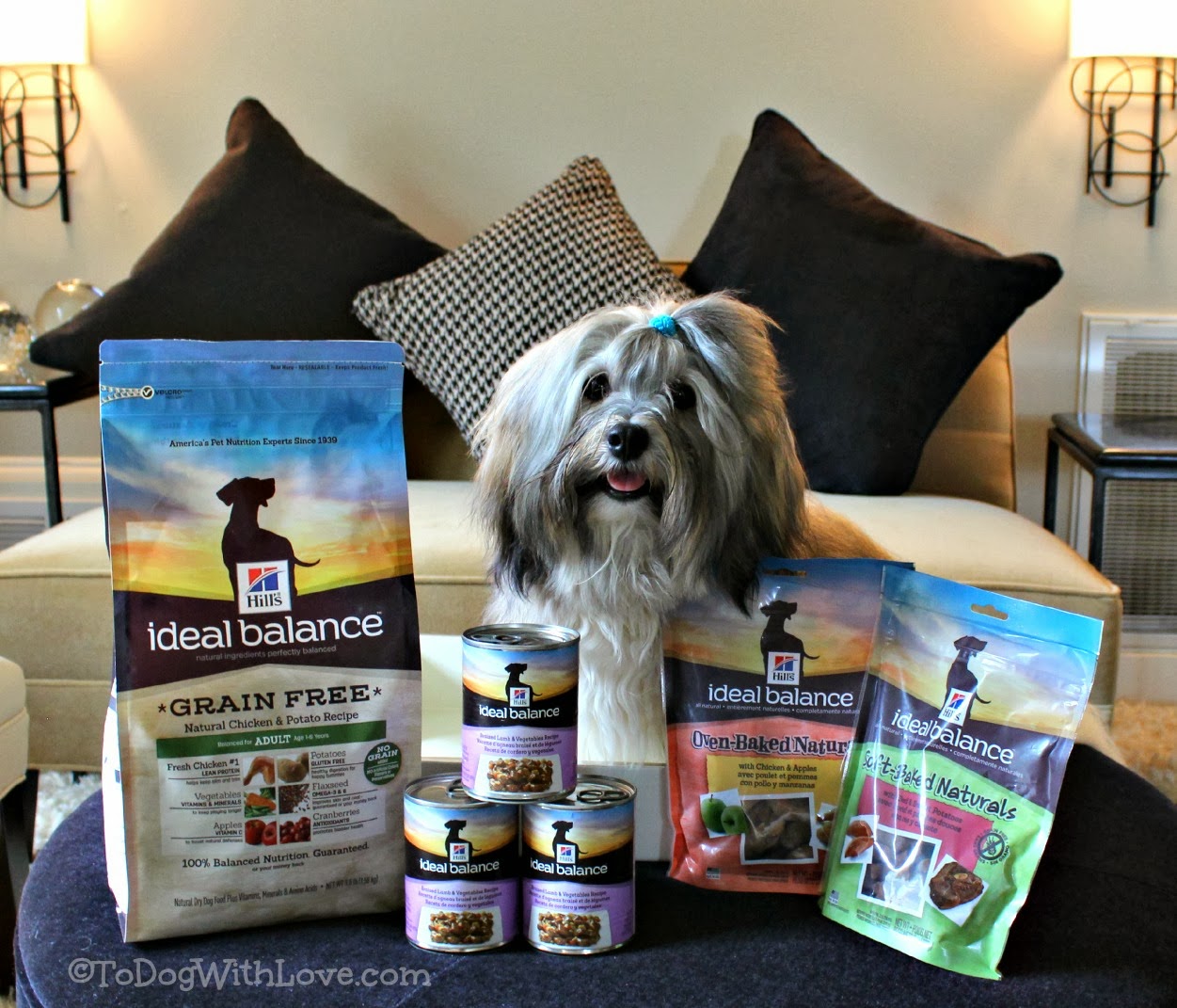 To Dog With Love: Droolworthy Meals from Ideal Balance and a Gourmet ...