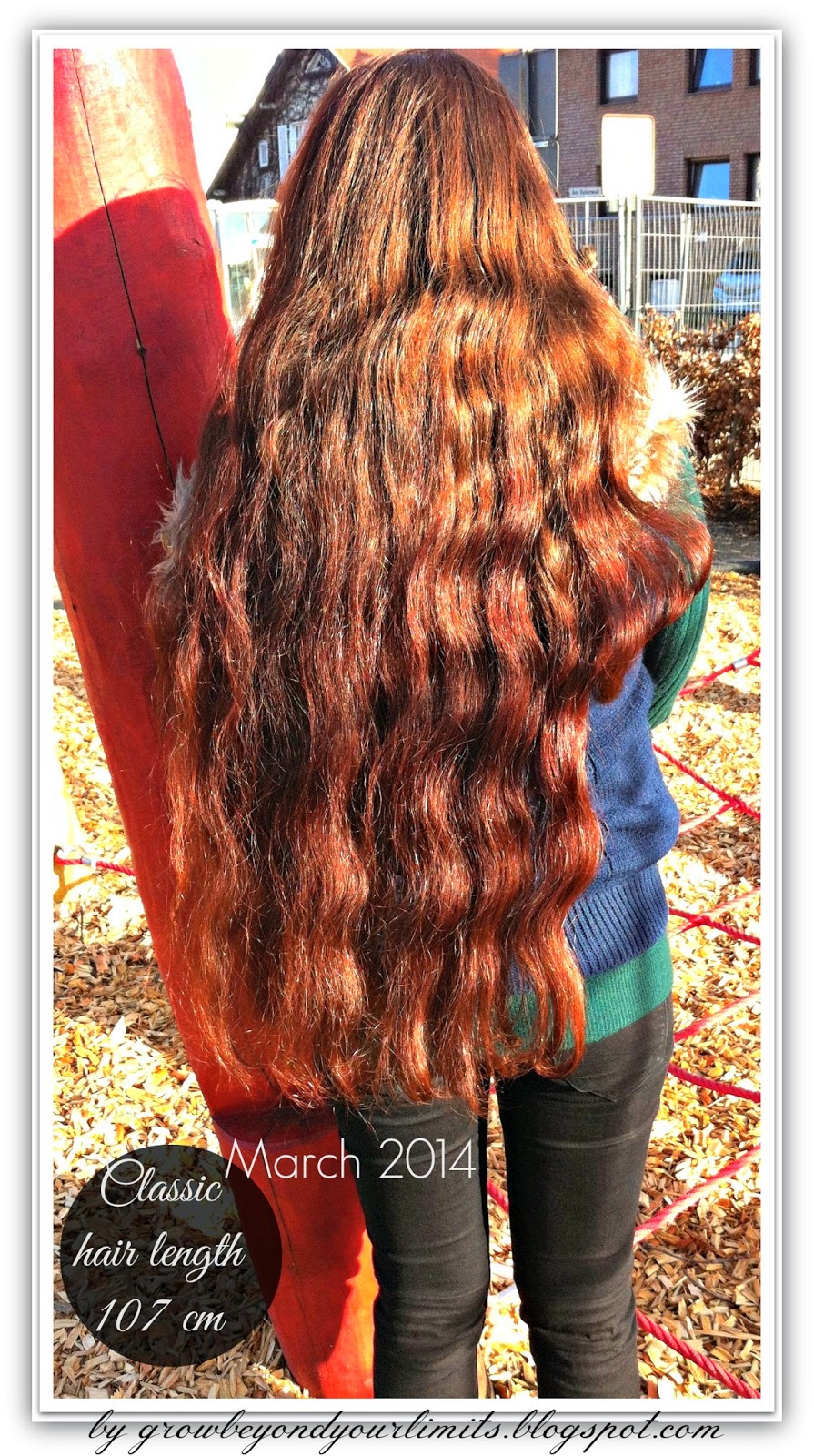 How to grow healthy, long and beautiful hair. Holistic and Natural Living. DIY & Recipes