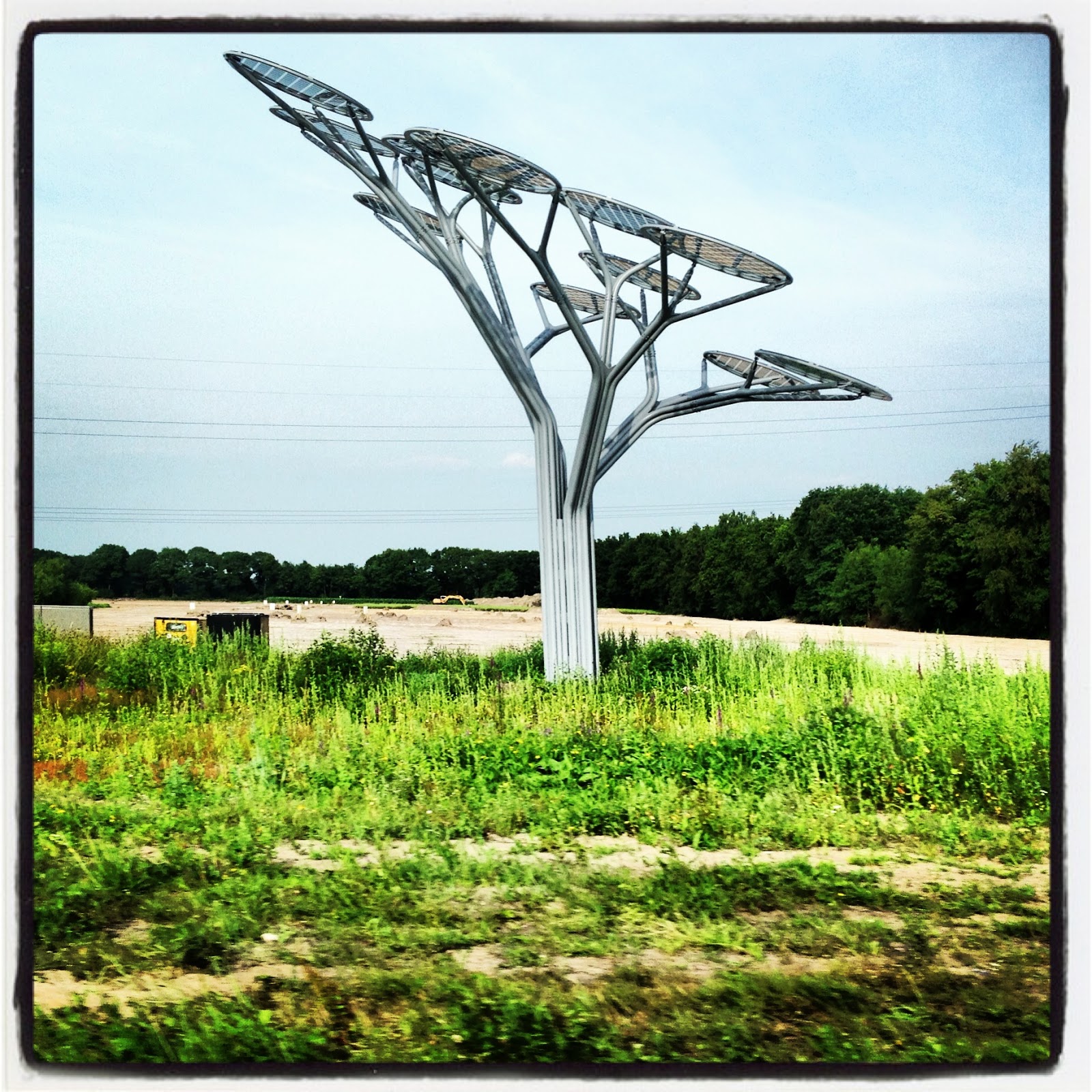 FBLS: Solar Tree