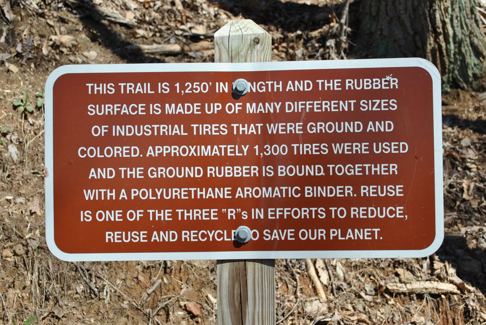 Amicalola Falls Trail