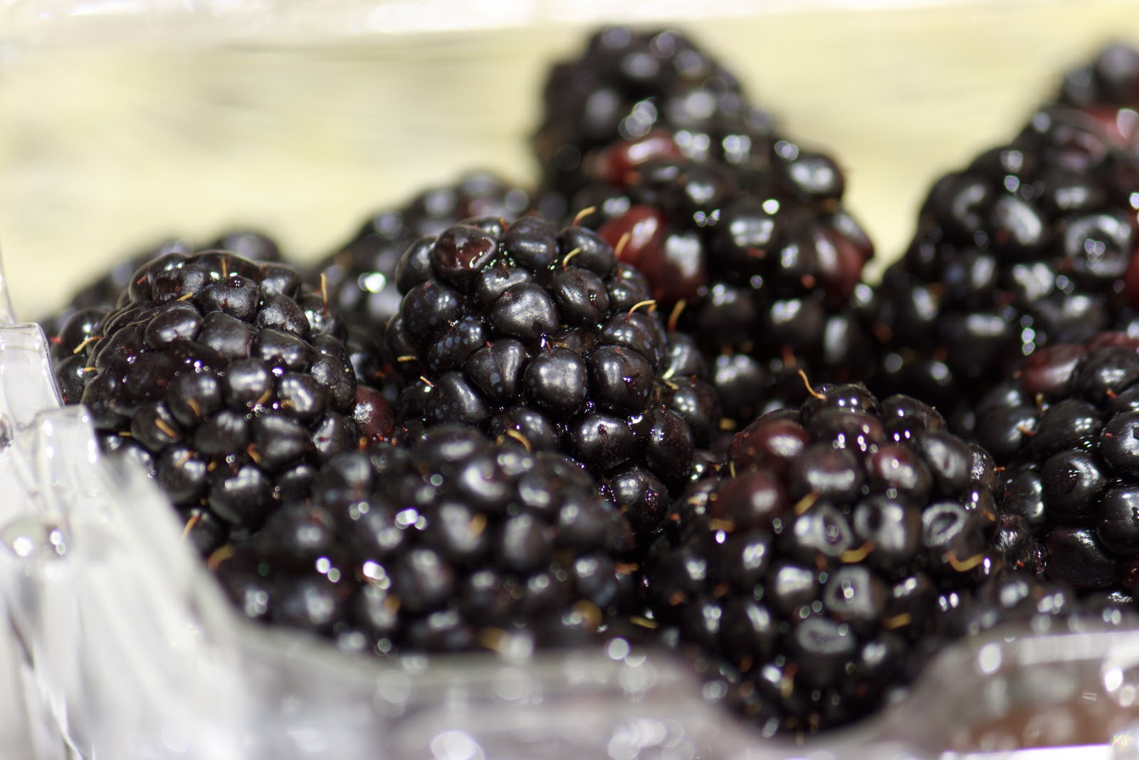 Chris Poldervaart Scribing The Bible A Journey of Discipline