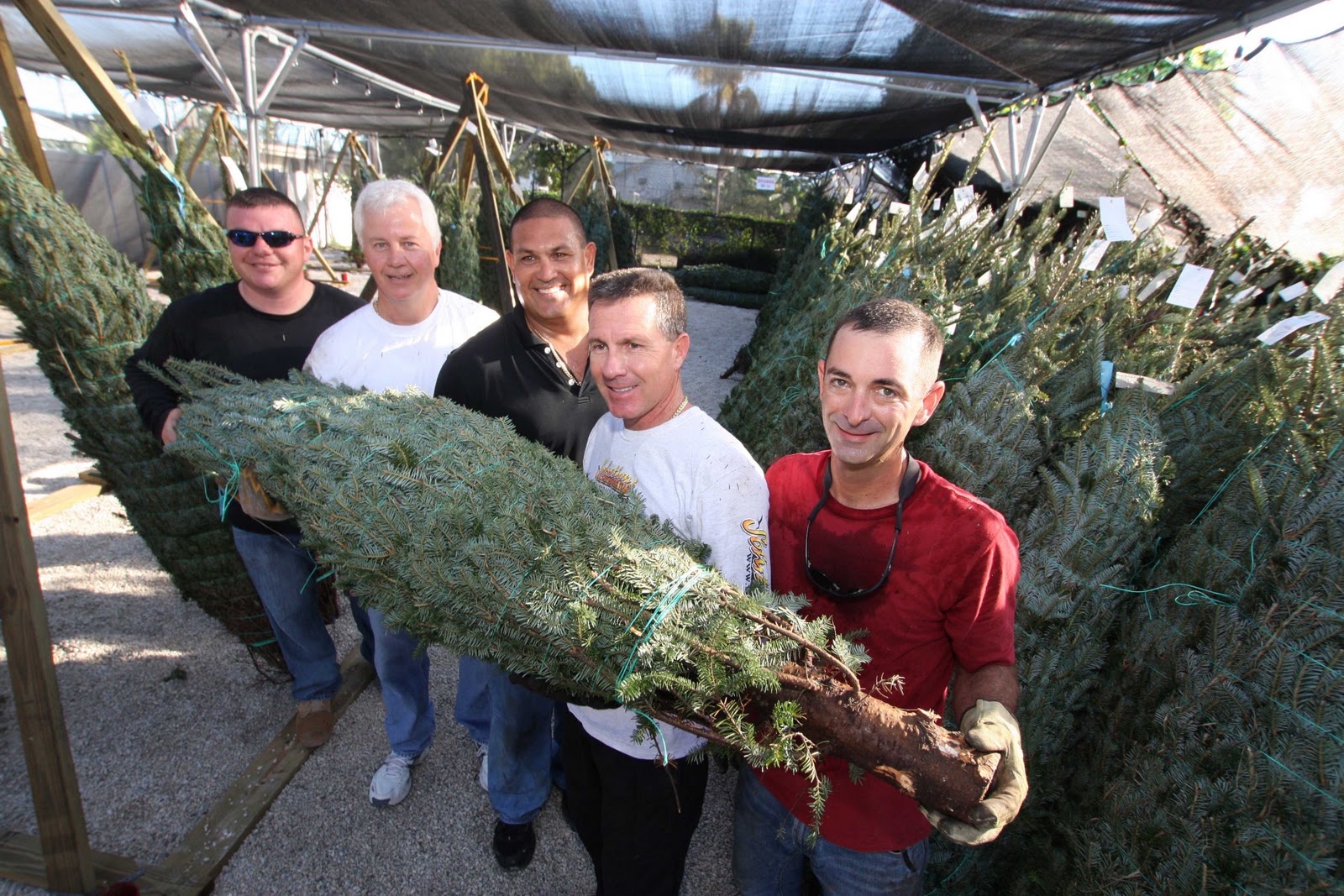 Monroe County Sheriff's Office December 2011