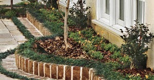 Brick Box Image: Garden Brick Edging