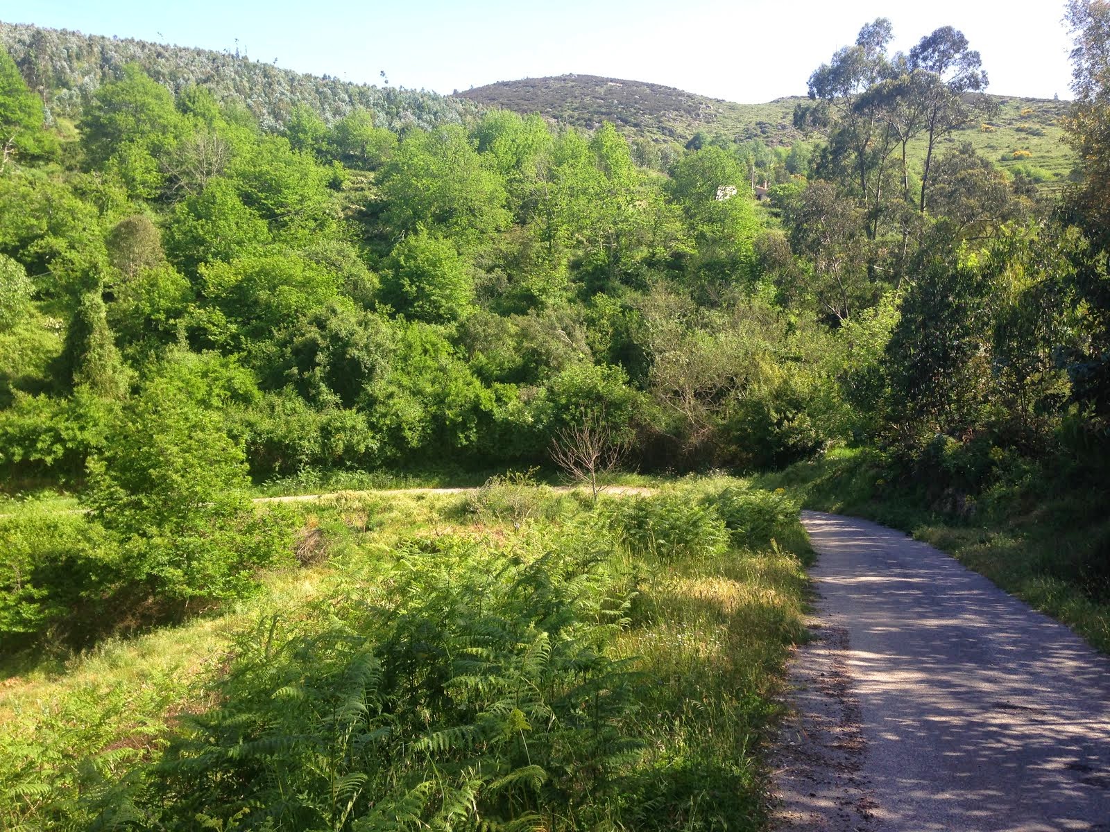 MONCHIQUE OS SEUS VERDES E OS CAMINHOS DA SERRA