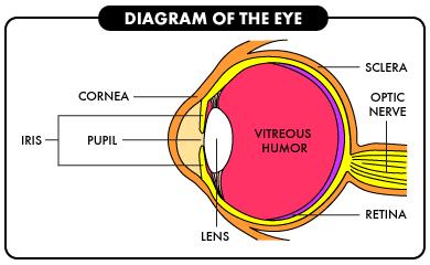 laser eye surgery information essay laser eye surgery information essay
