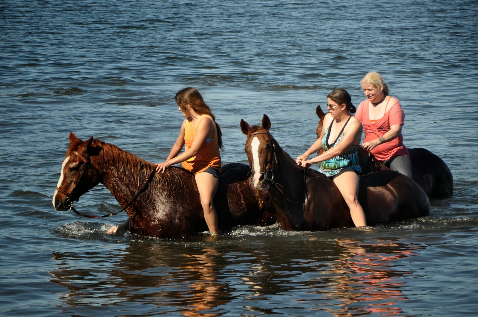 My Retiring Life "A man in passion rides a horse that runs away with