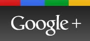 Goa Google Profile