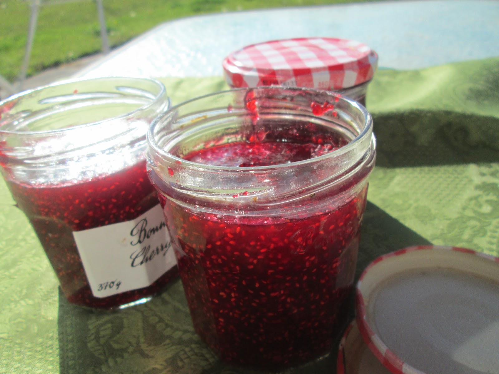 Canela kitchen (gloria) Microwave raspberry jam