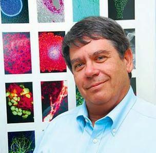 Fallout From the Trounson Affair: A Taint on the California Stem Cell Agency