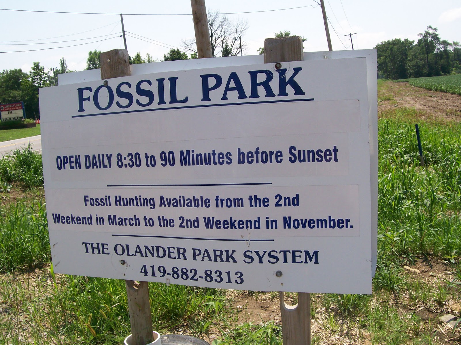 Rockhounding Around Fossil Park, Sylvania Ohio