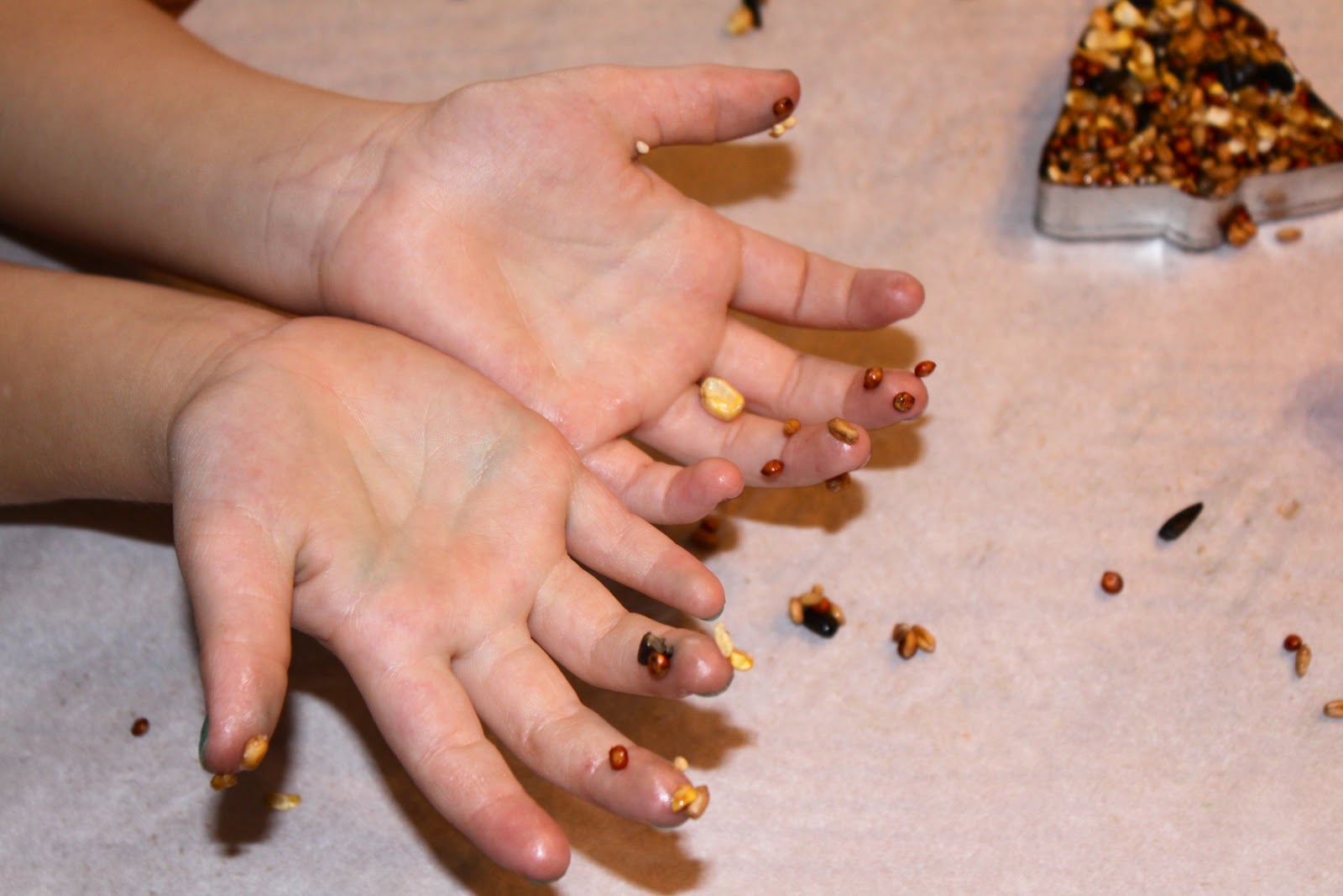 Gallery For > Wart Seeds