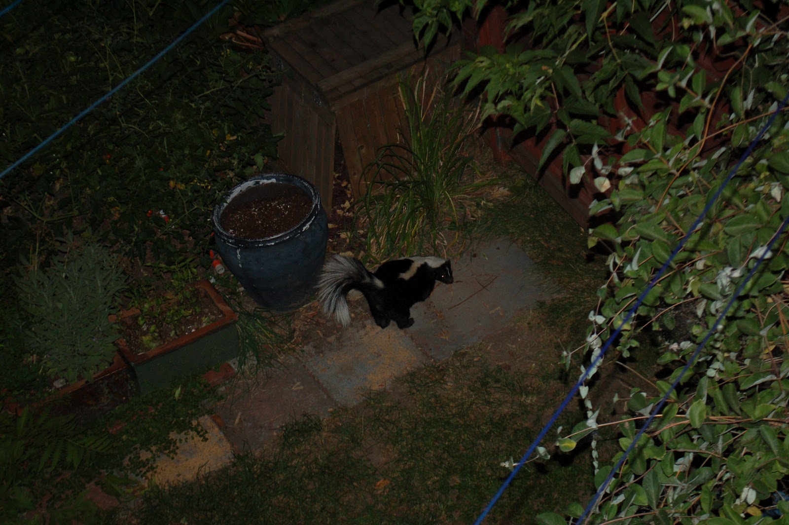 Rechtsanwalt Dr Jorg Burkhard Fachanwalt Fur Steuerrecht