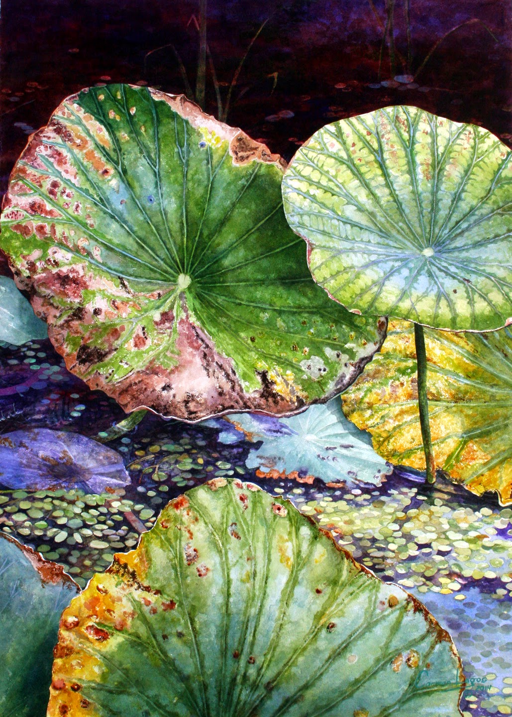 Carmen Lagos Watercolors