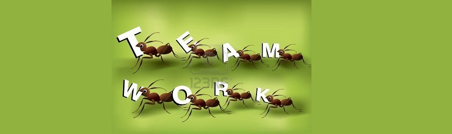 TRABAJO EN EQUIPO