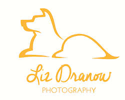 Liz Dranow Photography