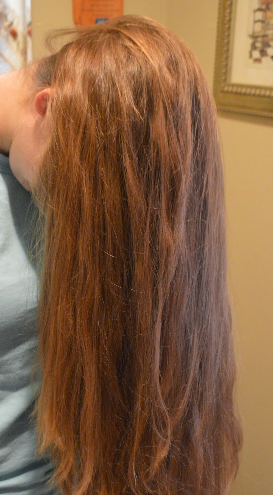 Whatsoever Things Are Lovely Upside Down Dutch Braided Bun Updo / / Hair Tutorial