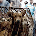 Διώξτε τους σκύλους αλλιώς θα τους σκοτώσουμε:εντολή από Κινέζους αξιωματούχους...