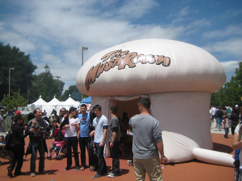 Northern California Angora Guild Hill Mushroom Mardi Gras Food