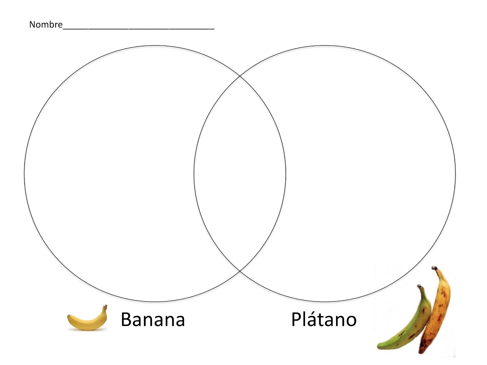 Spanish Simply Guineo o Plátano? Comparing Plantains and Bananas