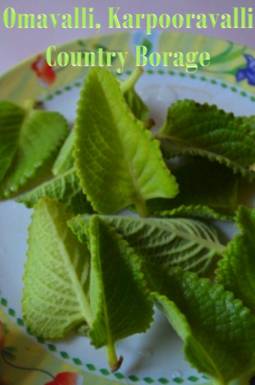 Karpooravalli Leaves Bajji Recipe / Omavalli Bajji Recipe Country