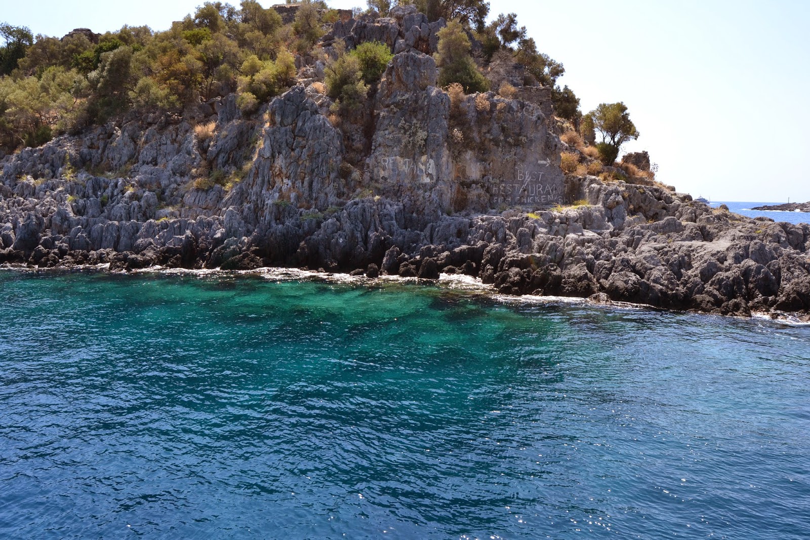 Download Kole strand billeder Free