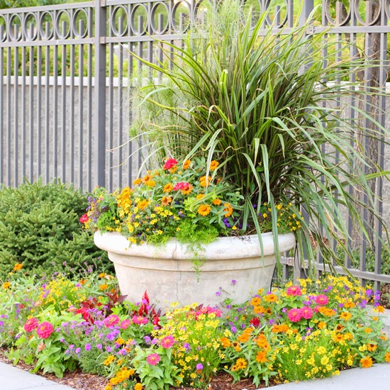 Juniper Hill Confessions Of A Boxwood Lover