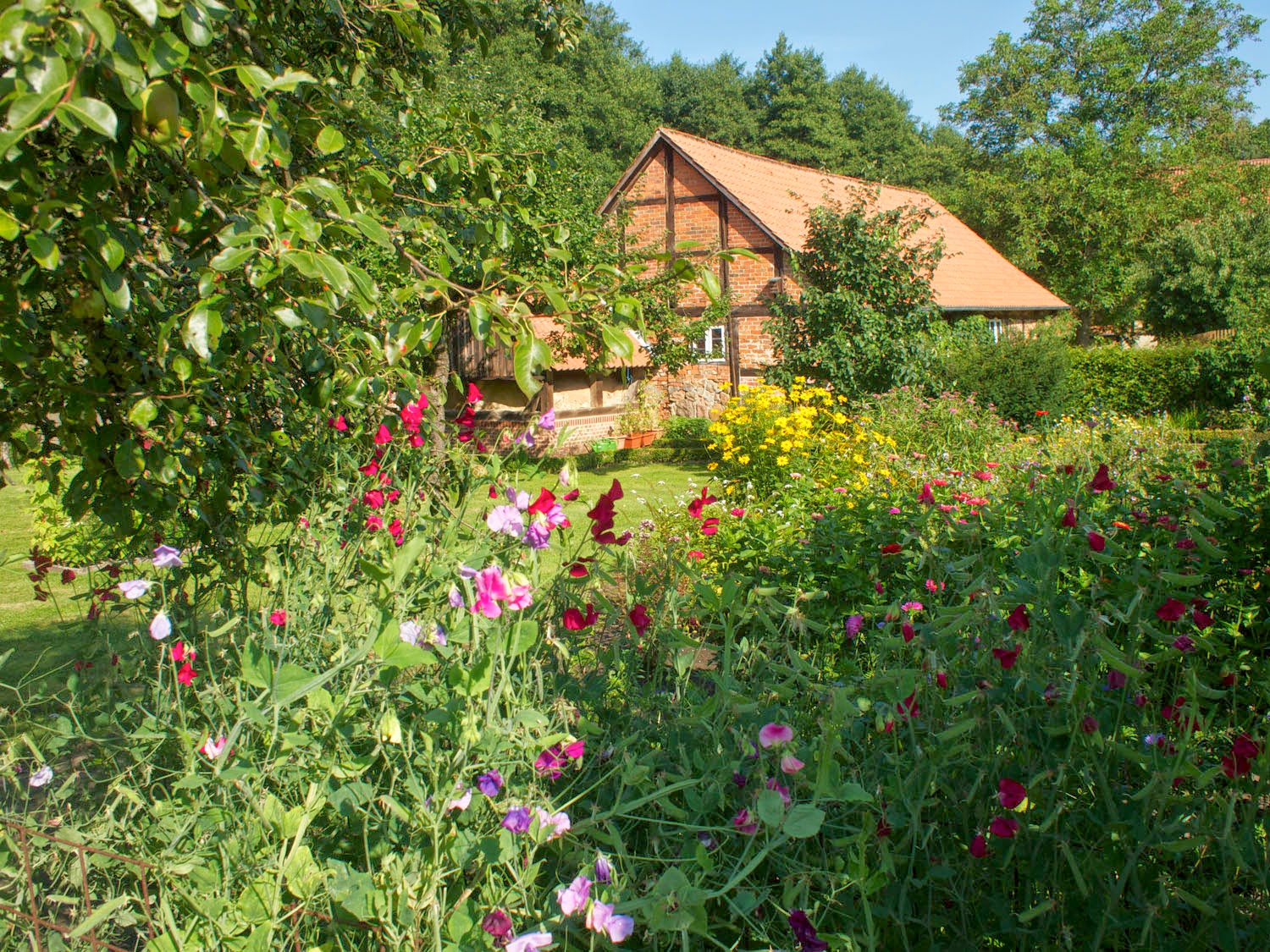 Guten Morgen So Mitten Im Spat Herbst Meines Lebens