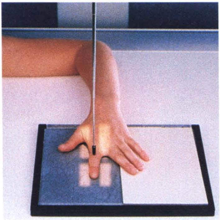 PA PROJECTION FINGERS Radiographic Positioning Radiology Notes