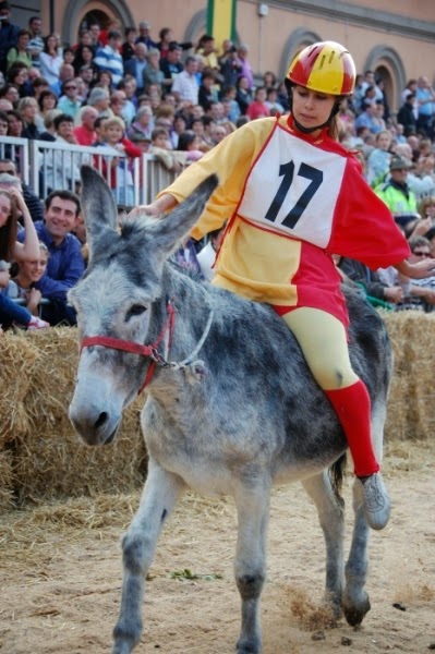 Alba - Palio degli Asini, czyli wyścig osłów Wyścigi Osłów