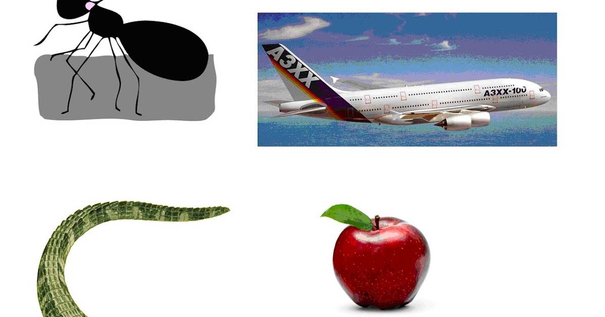 Resource: Pictures of objects start with letters A to Z | Learn The Fun Way