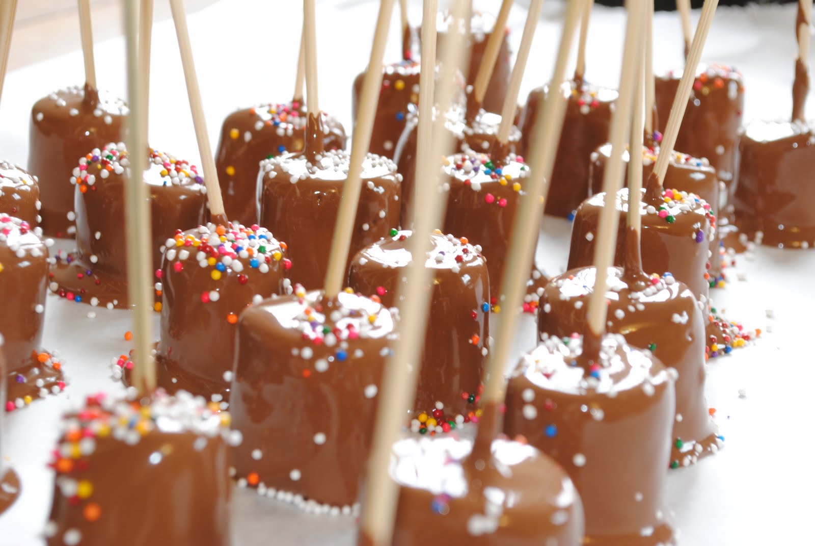 RAZMATAZ Gifted Chocolate Dipped Marshmallows