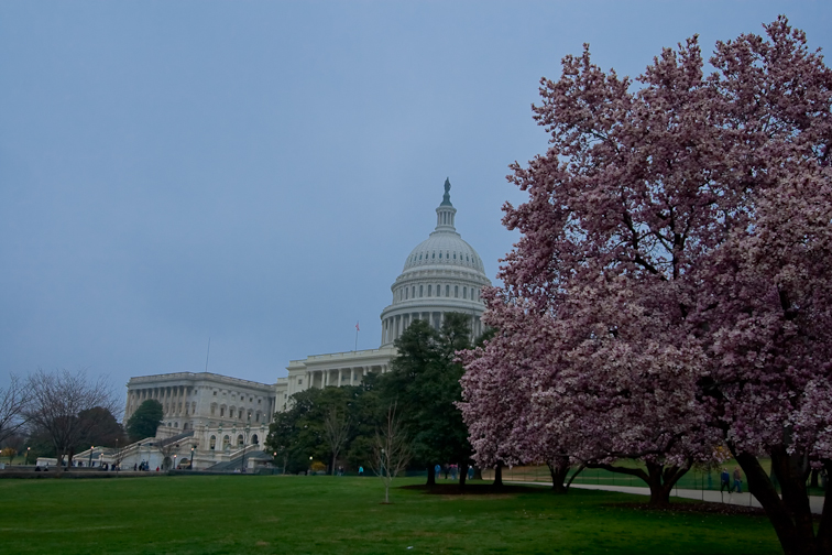 19th Century Photos Of The U S Botanic Garden Streets Of