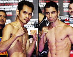 Nonito Donaire vs Fernando