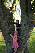 Kids kunnen de boom in