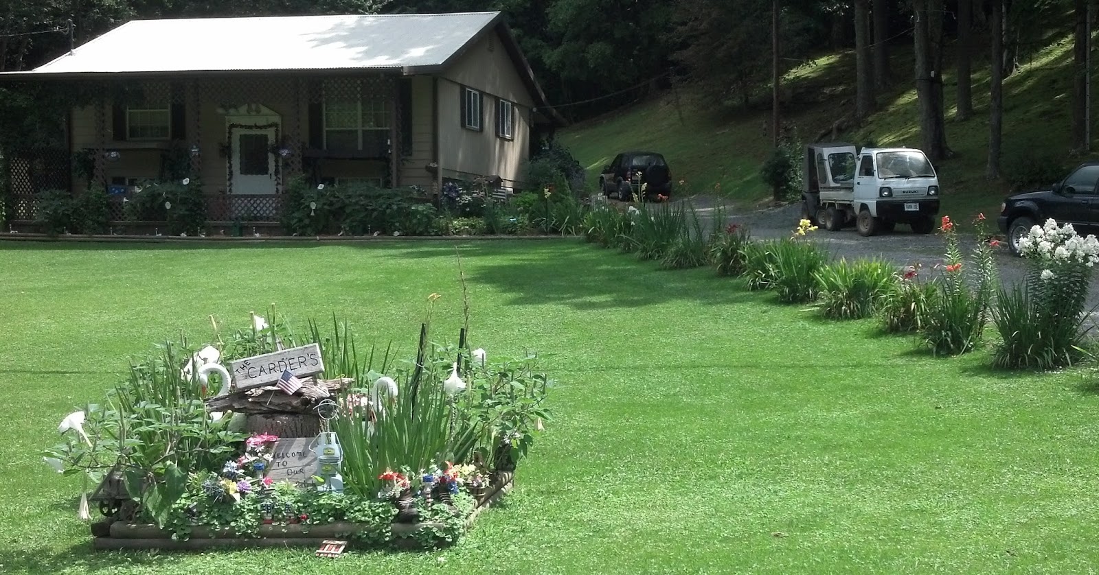 Work from home jobs elkins wv and more zn stock price today